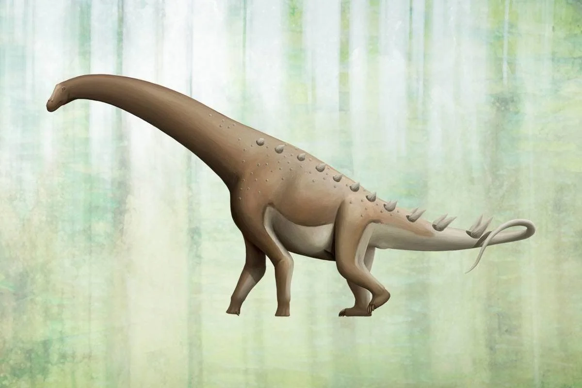Diamantinasaurus matildae