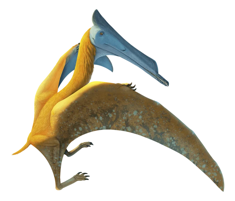 Elanodactylus