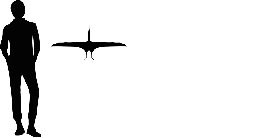 Tendaguripterus wingspan comparison