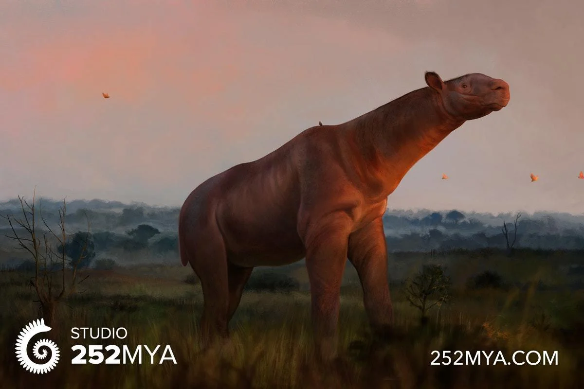 A life reconstruction of Paraceratherium
