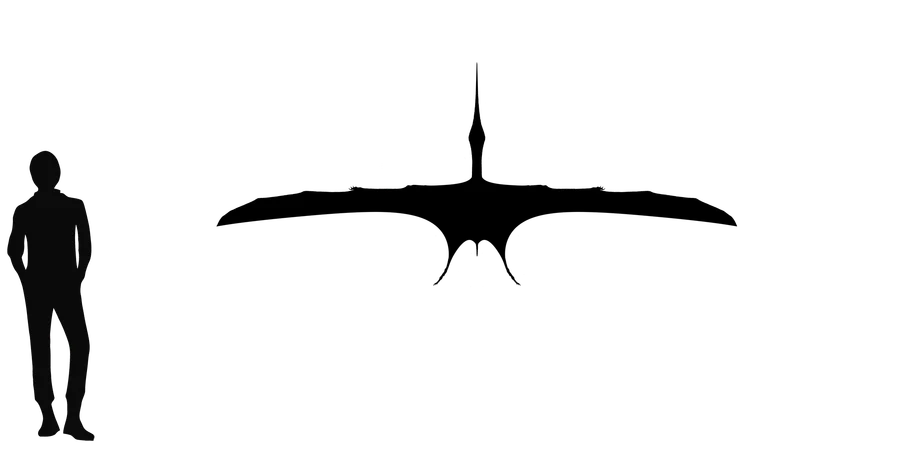 Alamodactylus wingspan comparison