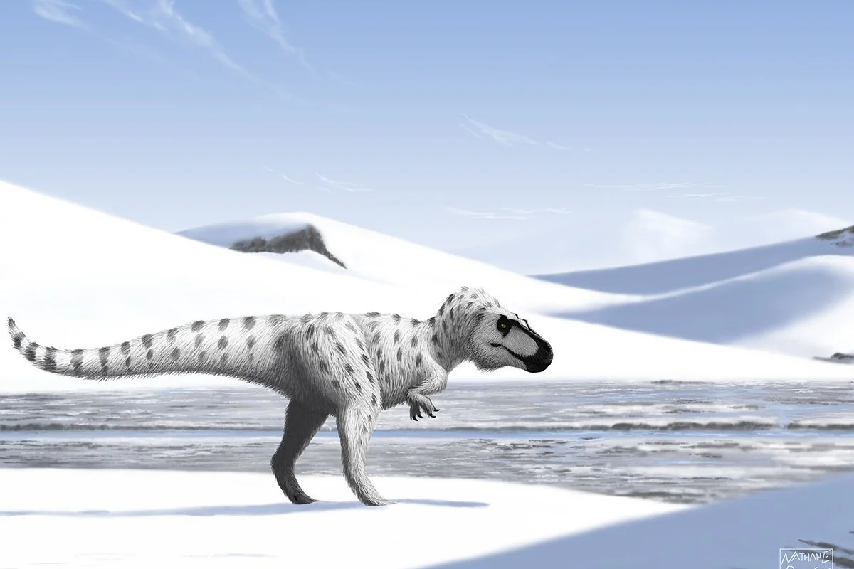 Nanuqsaurus hoglundi