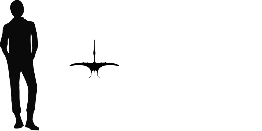 Pangupterus wingspan comparison