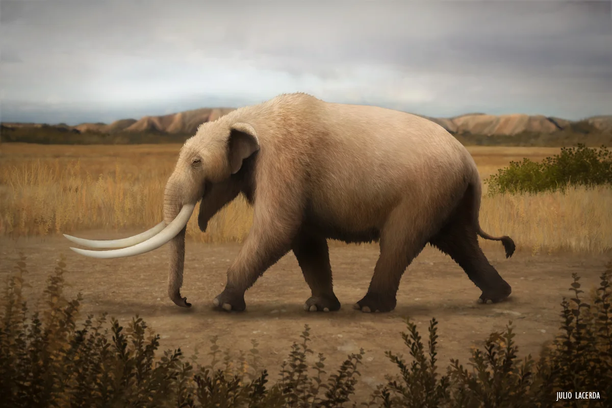 American Mastodon