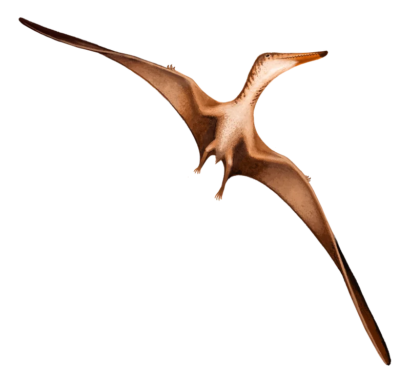 Serradraco