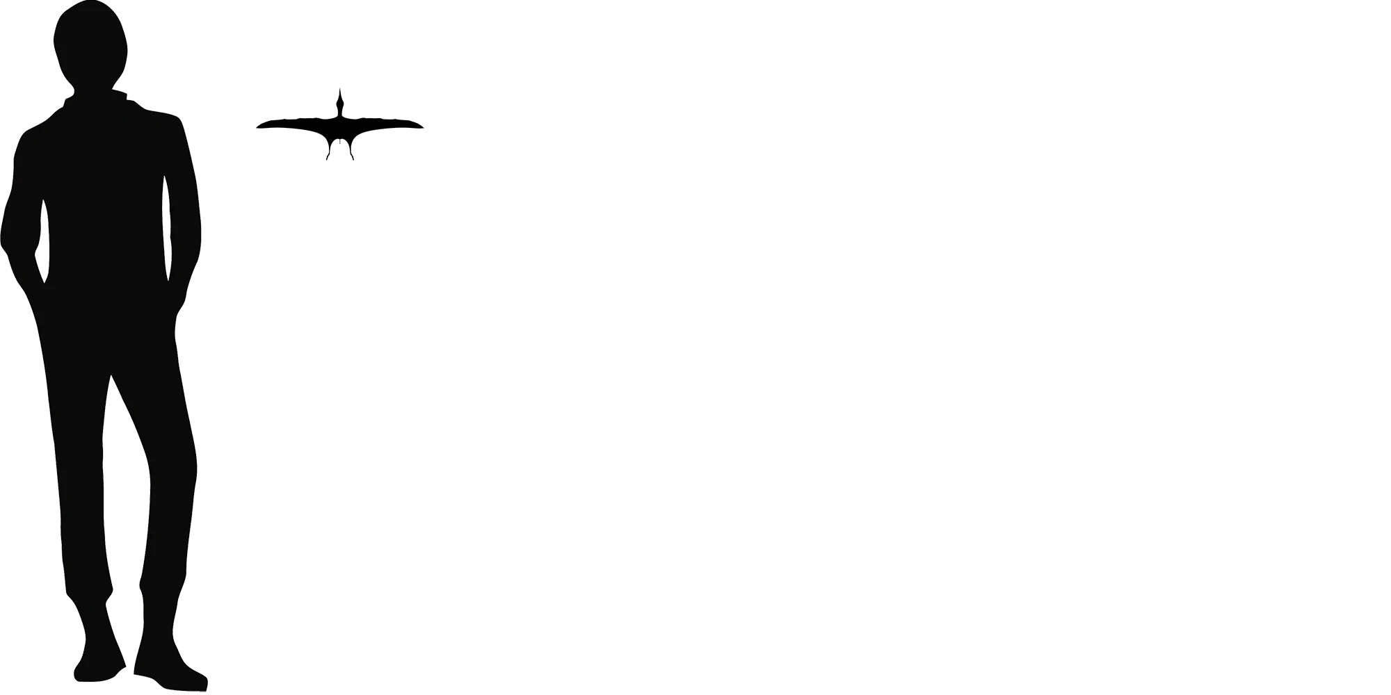 Nemicolopterus wingspan comparison