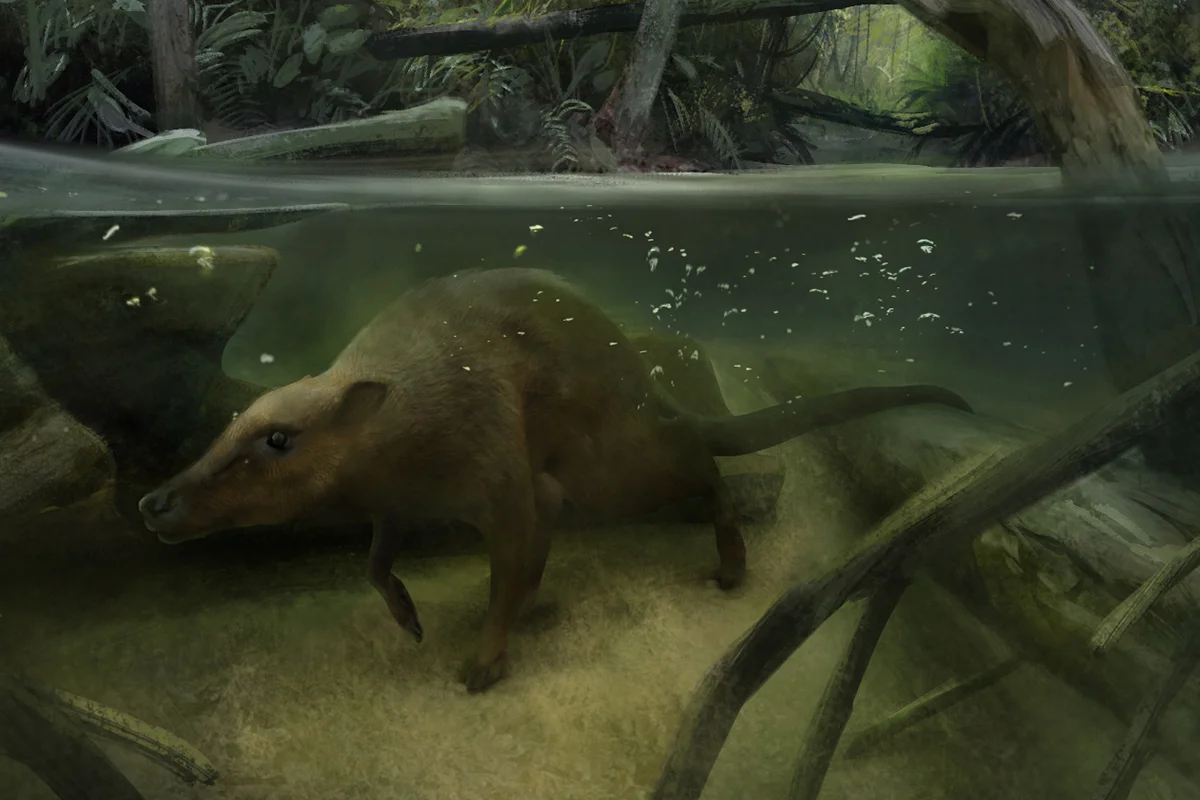 Indohyus underwater