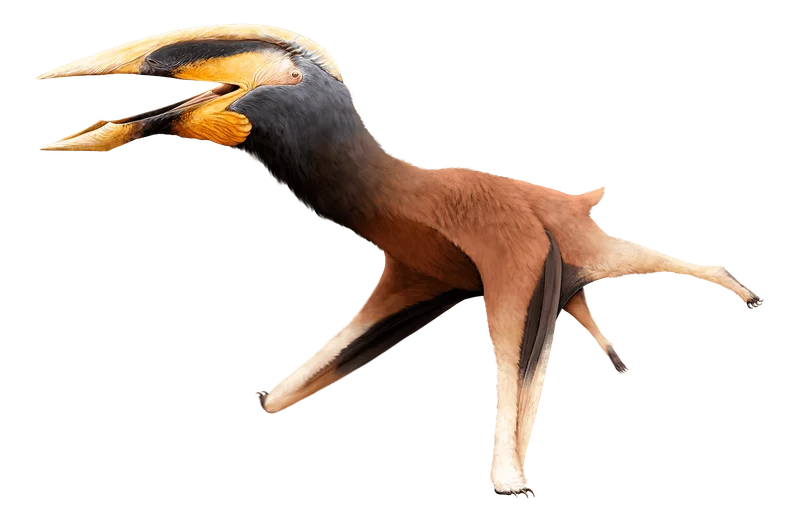 Albadraco