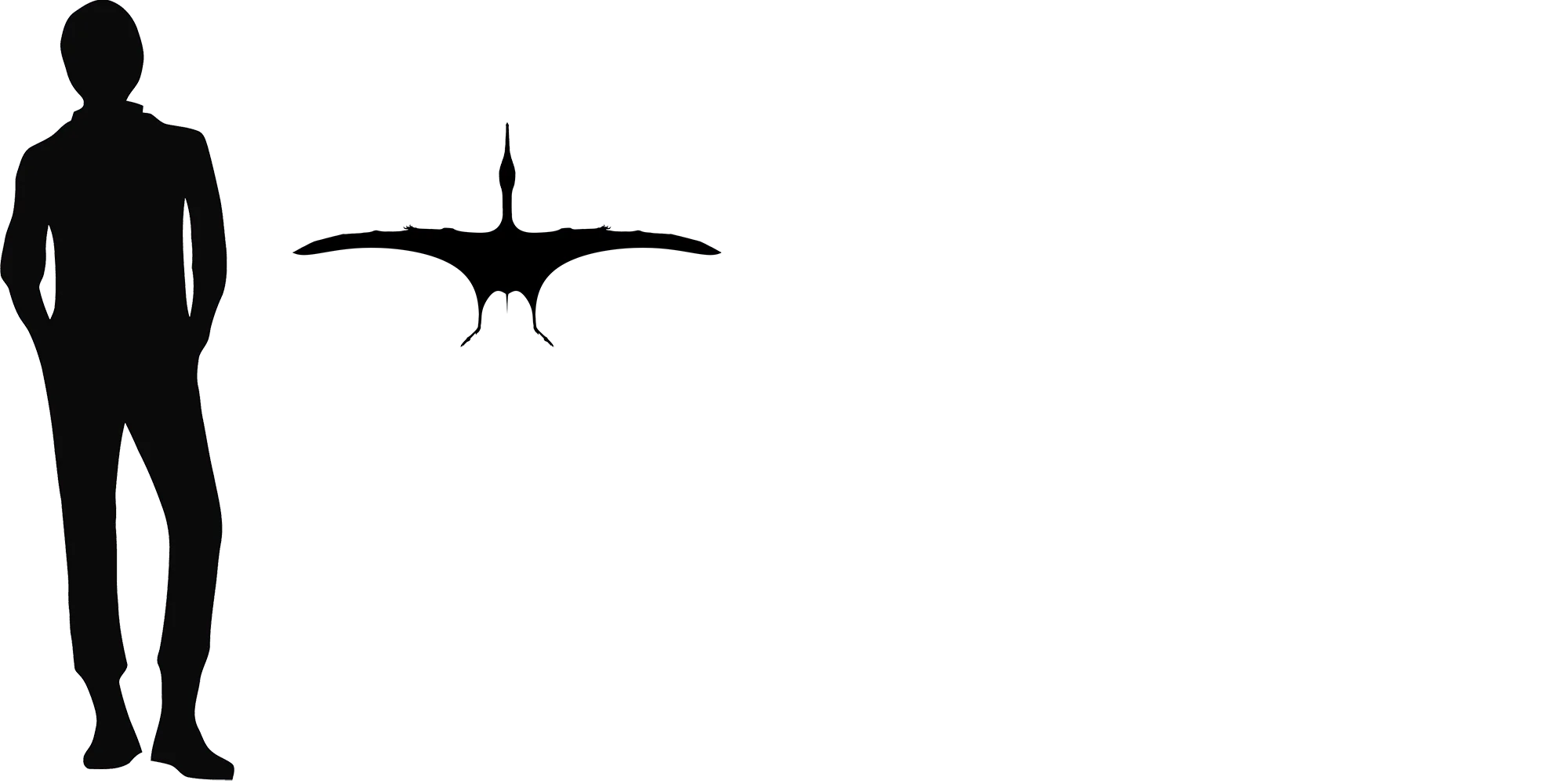 Aerodactylus wingspan comparison