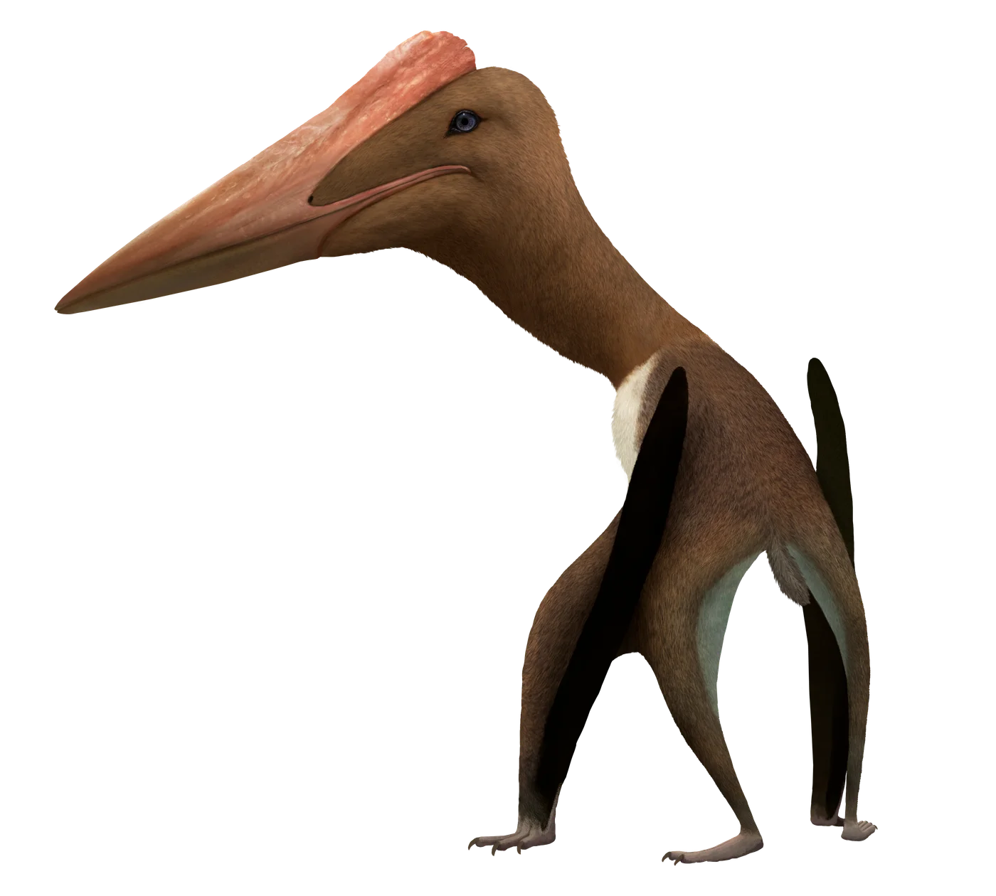 Bogolubovia