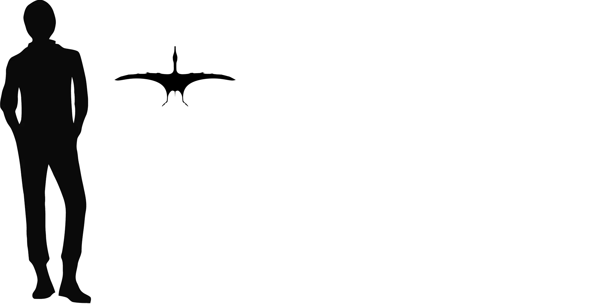 Normannognathus wingspan comparison