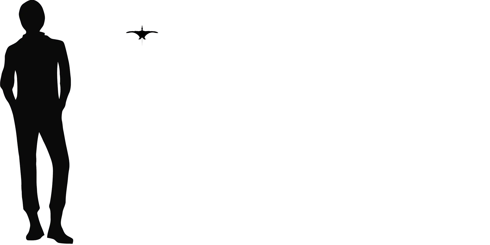 Qinglongopterus wingspan comparison