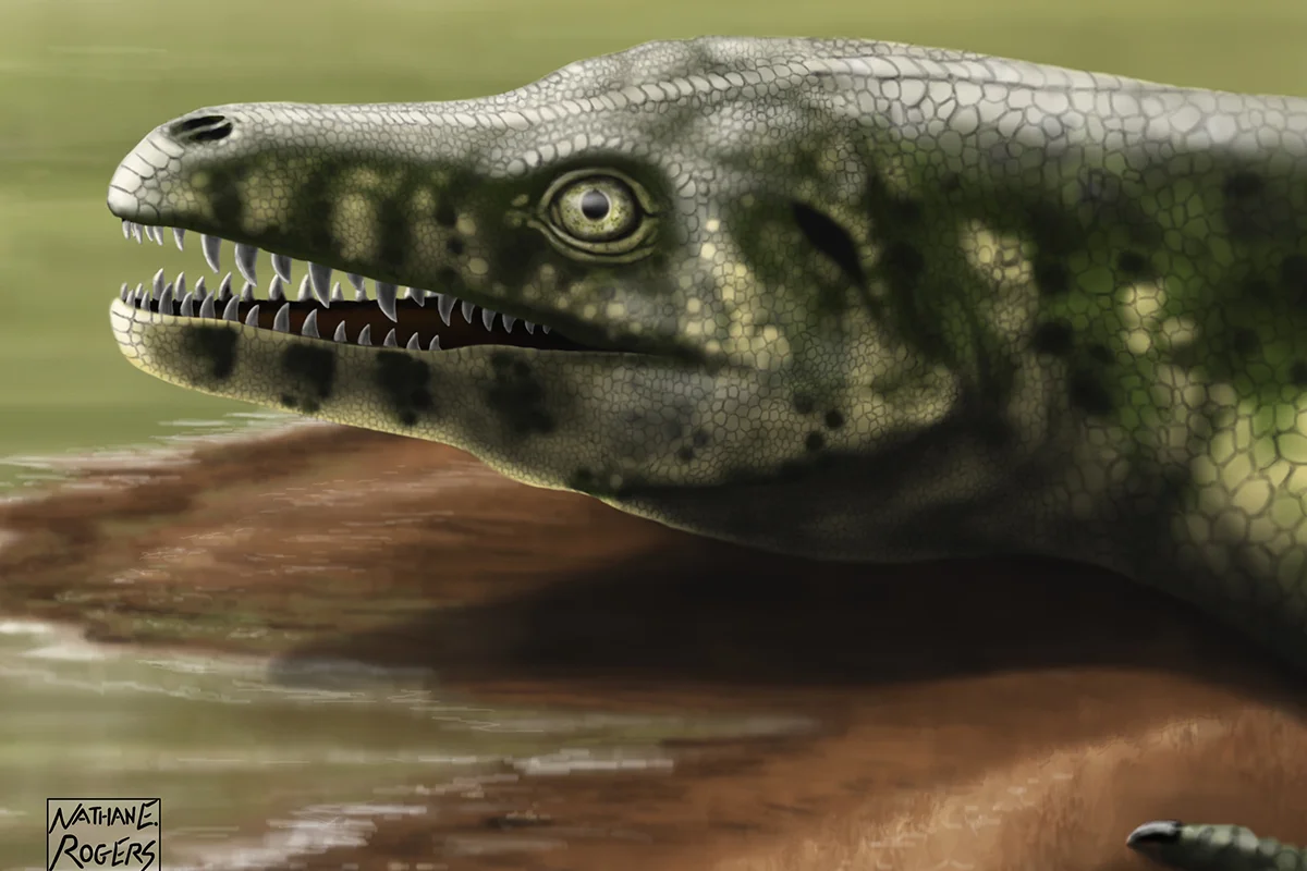Portrait of a predator