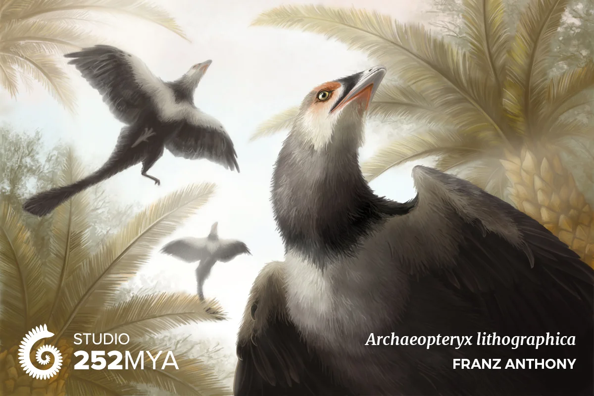 Archaeopteryx