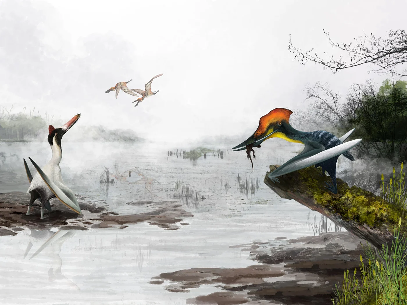 Jiufotang Formation