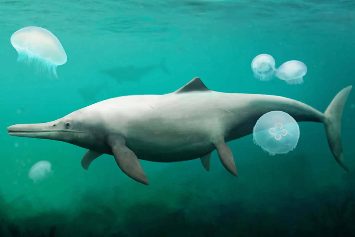 Temnodontosaurus swims through a sea of moon jellies