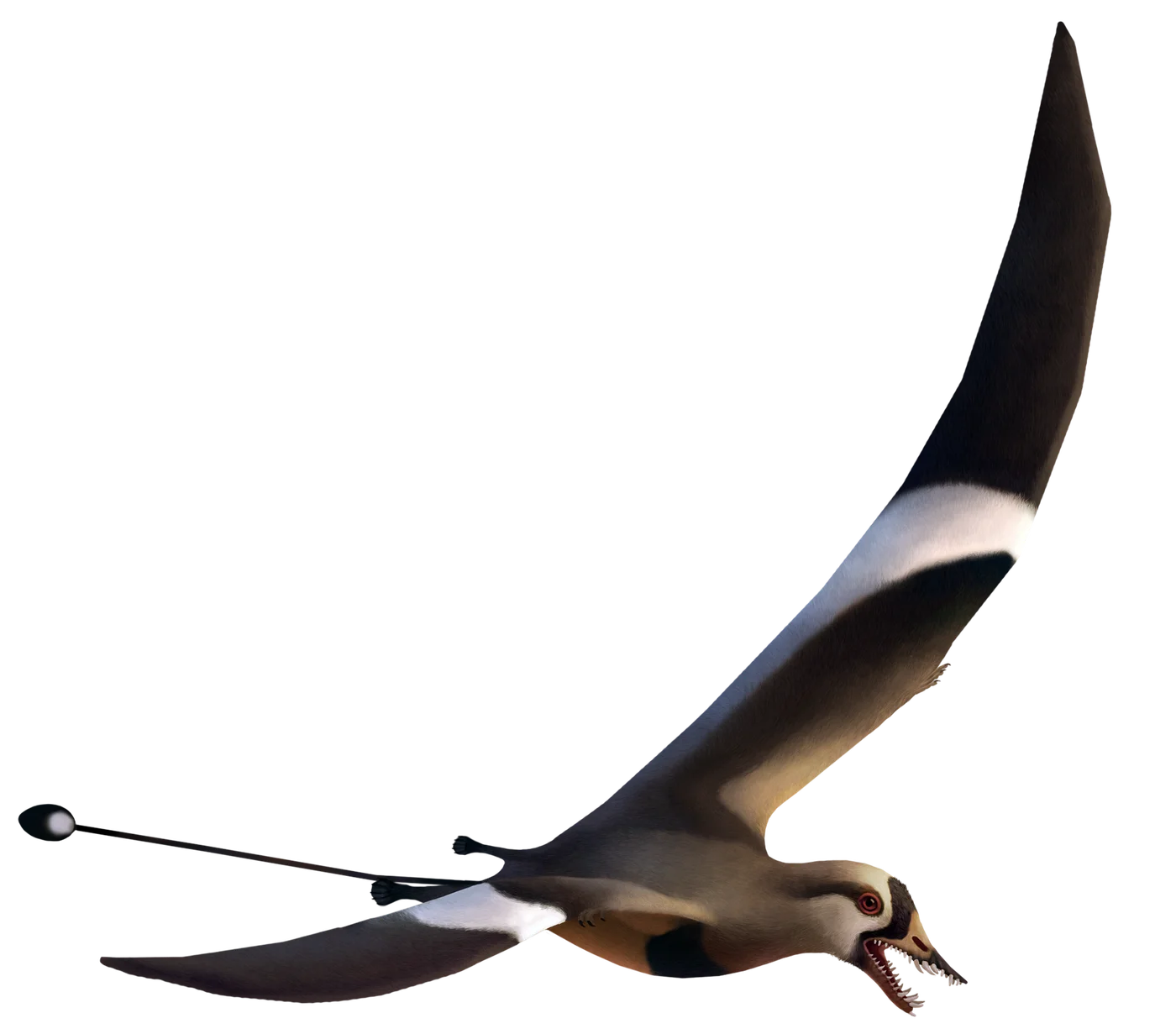 Qinglongopterus