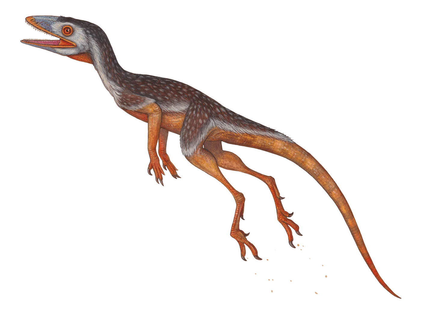 Lagerpeton
