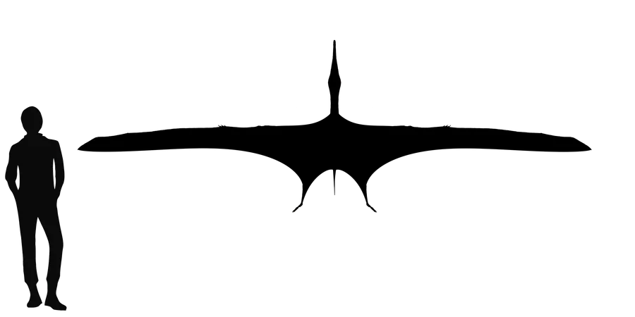 Guidraco wingspan comparison