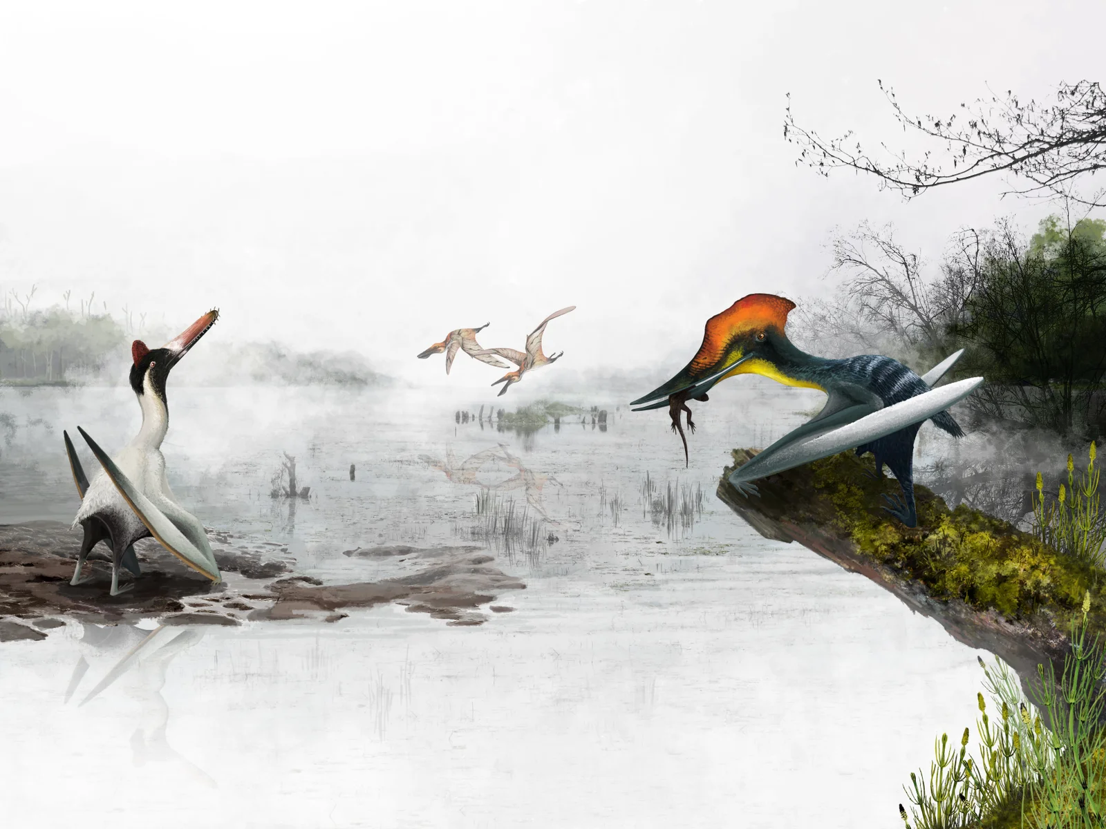 A misty lakeside scene of Cretaceous pterosaurs