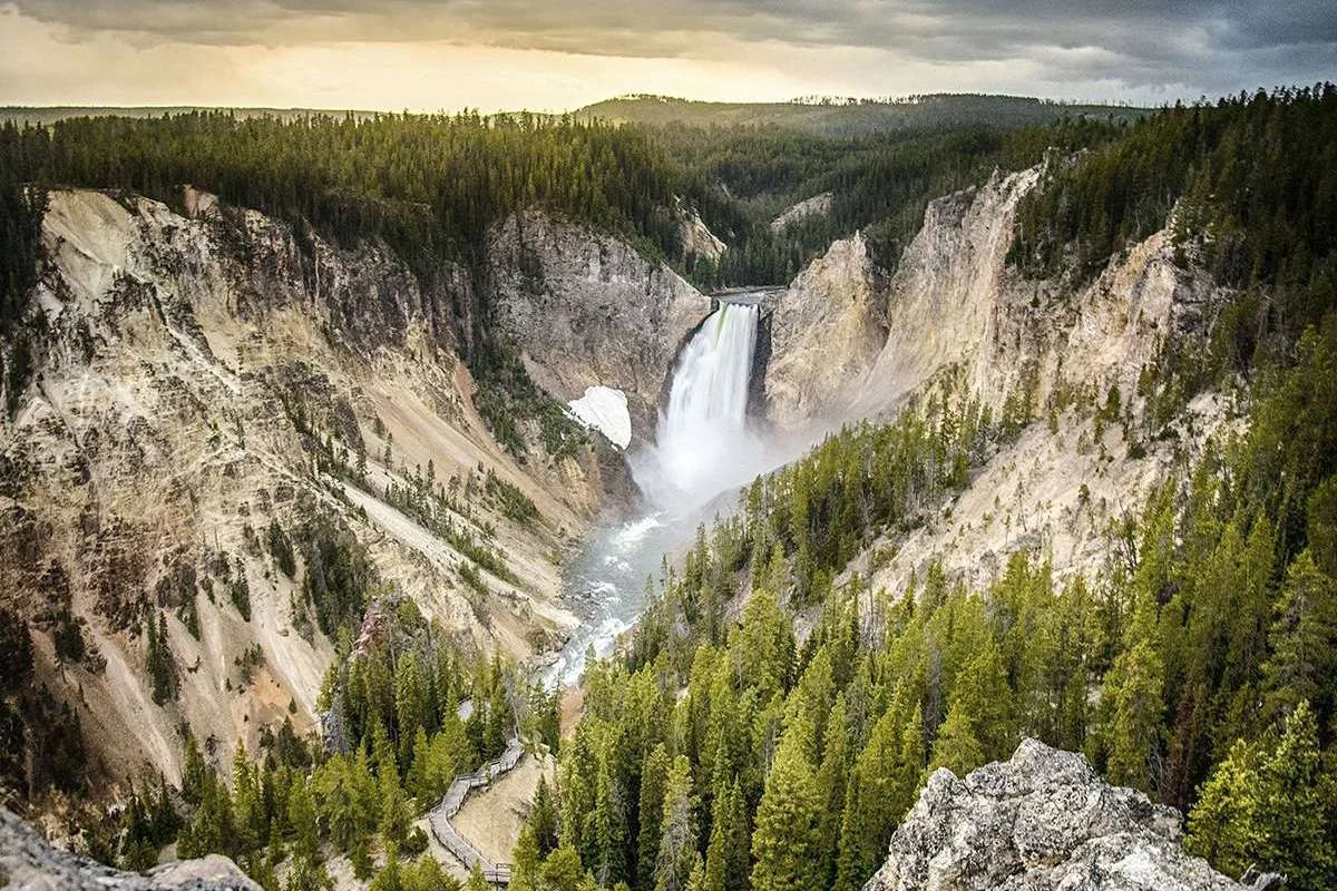 Lower Yellowstone Falls