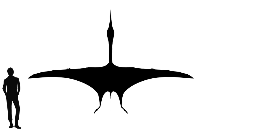 Azhdarcho wingspan comparison