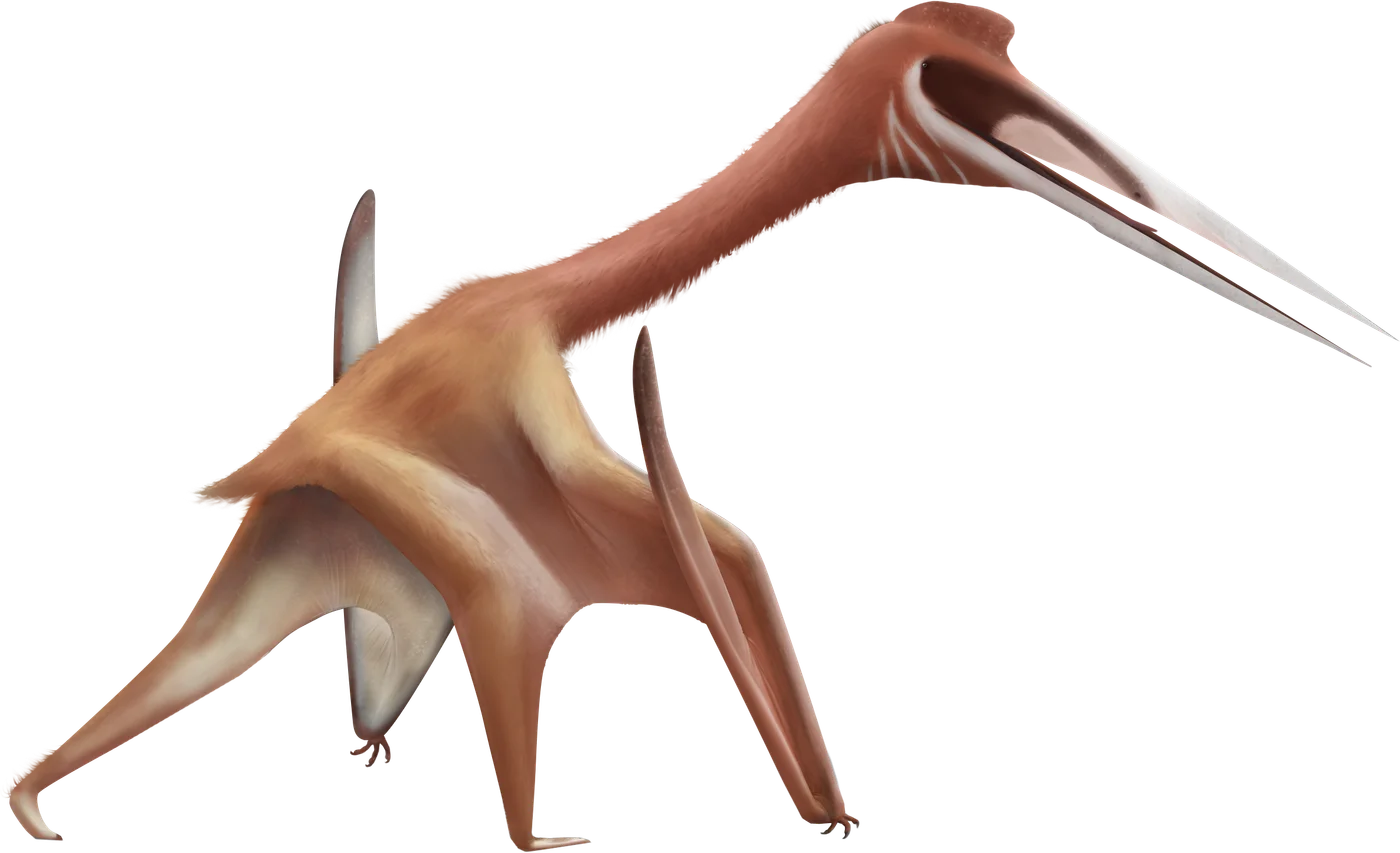 Aerotitan