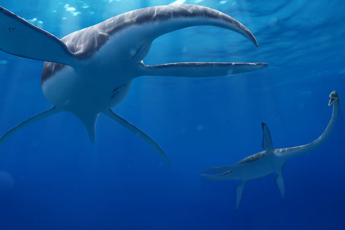 Plesiosaurs