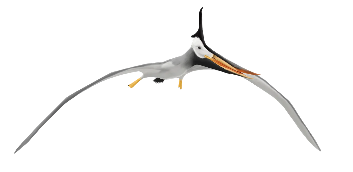 Simurghia