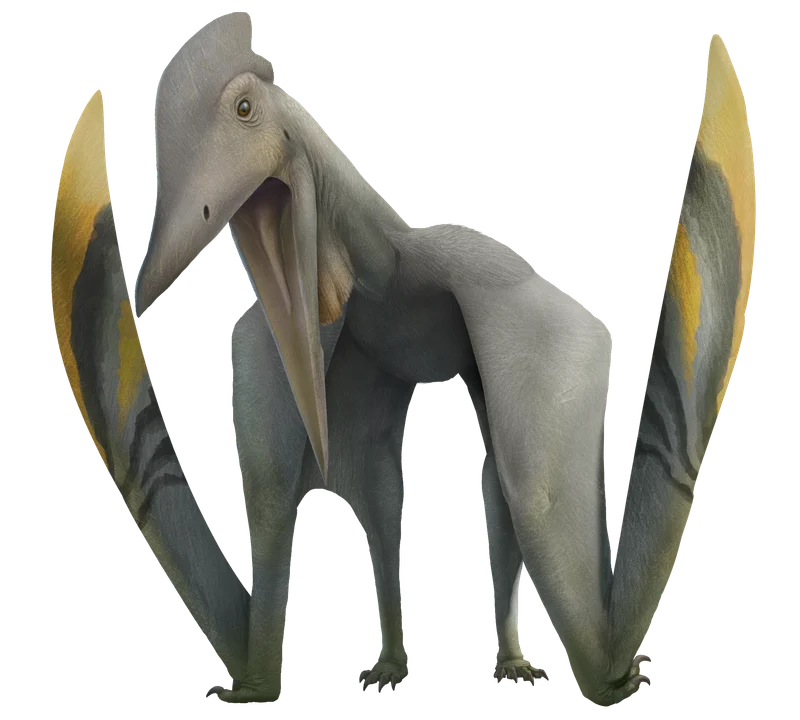 Eoazhdarcho
