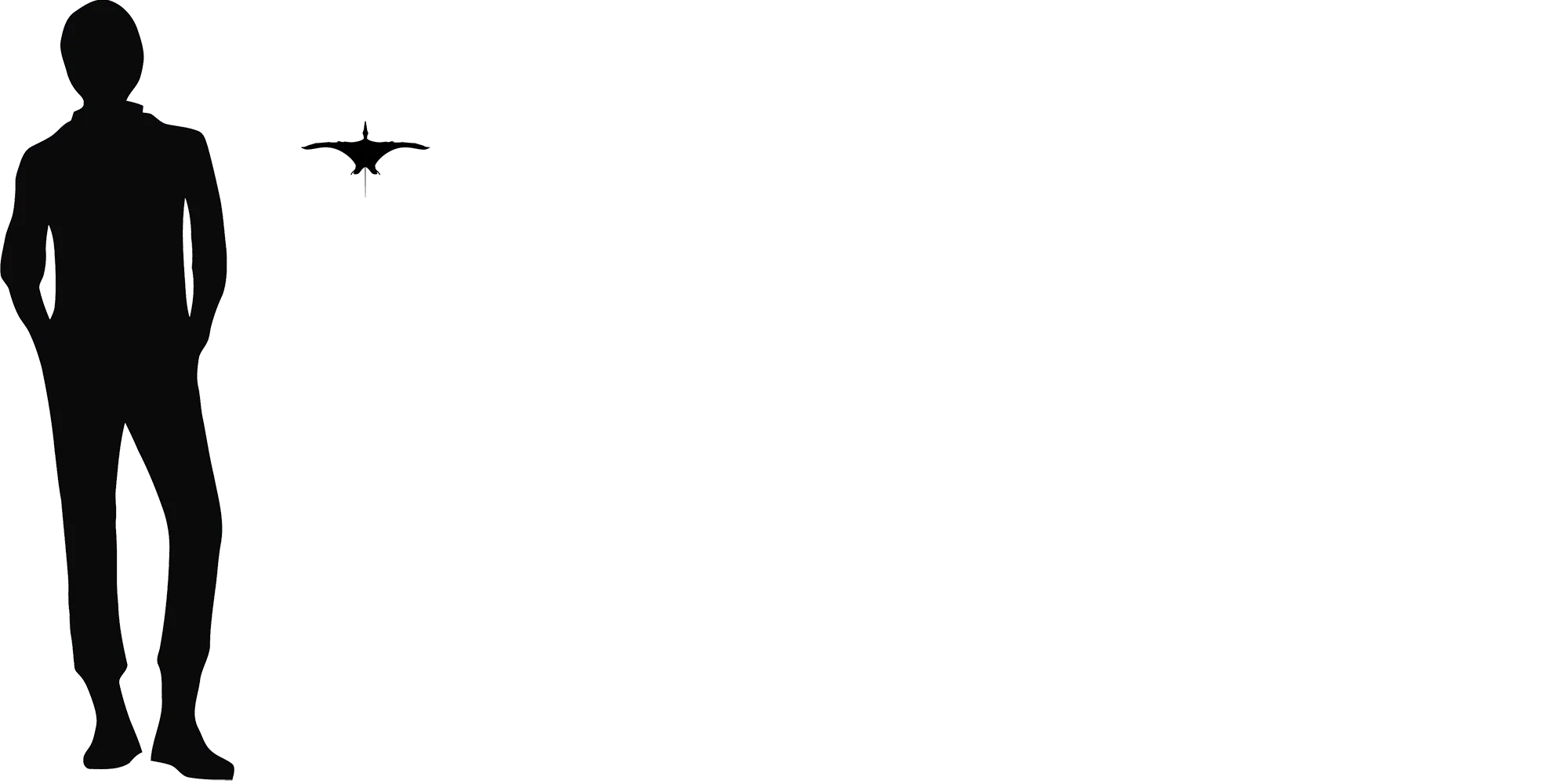 Bellubrunnus wingspan comparison