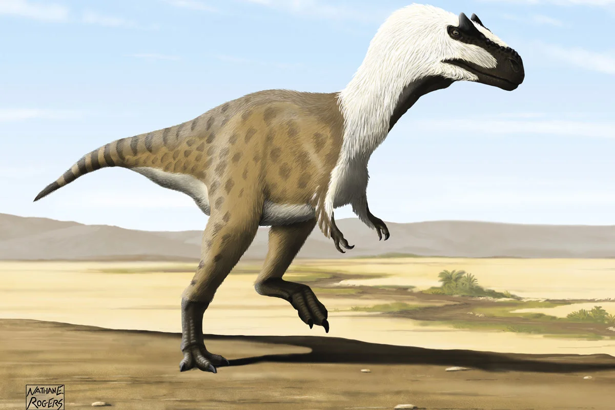 Gualicho shinyae