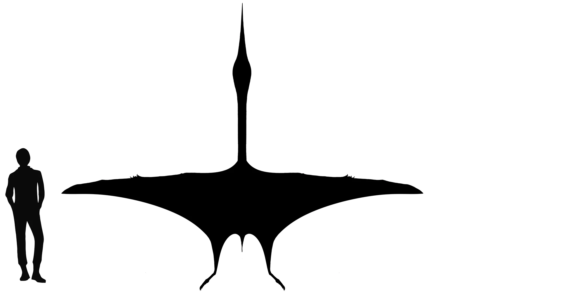 Aerotitan wingspan comparison
