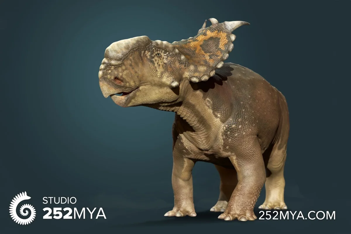 Pachyrhinosaurus canadensis