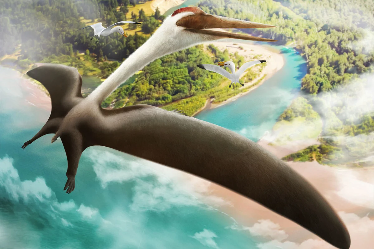 A Quetzalcoatlus soaring in the sky