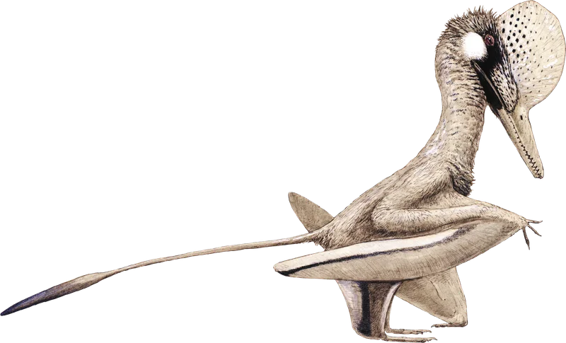 Wukongopterus