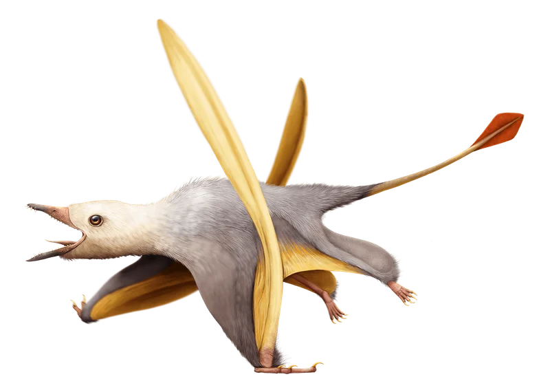 Seazzadactylus