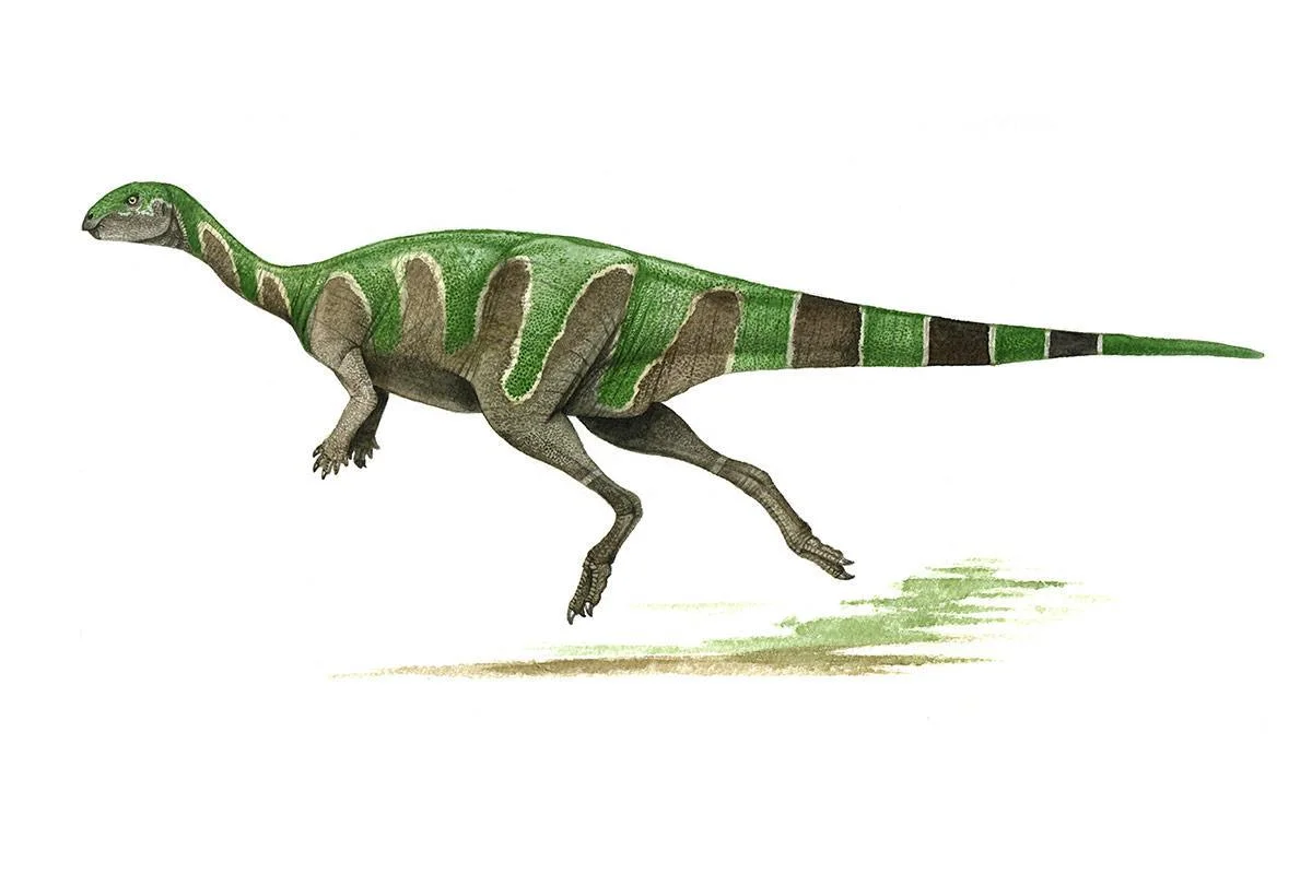 Valdosaurus