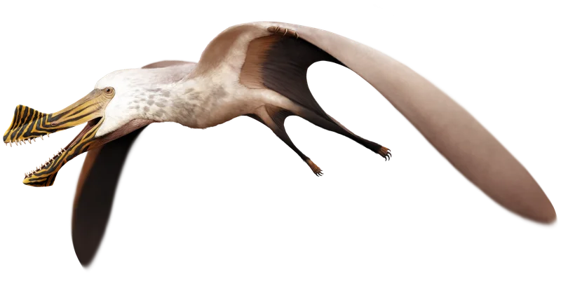 Ferrodraco