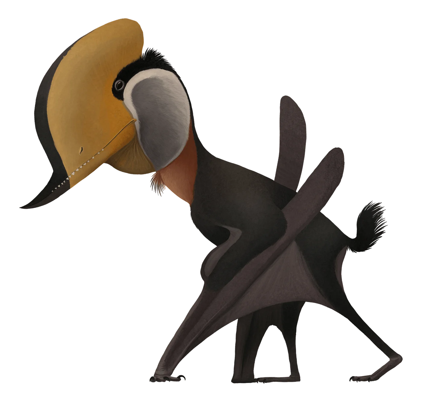 Domeykodactylus