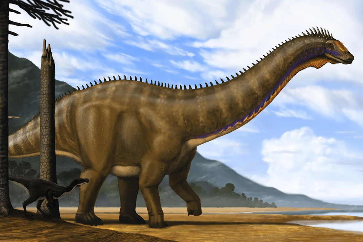 Life reconstruction of Brontosaurus