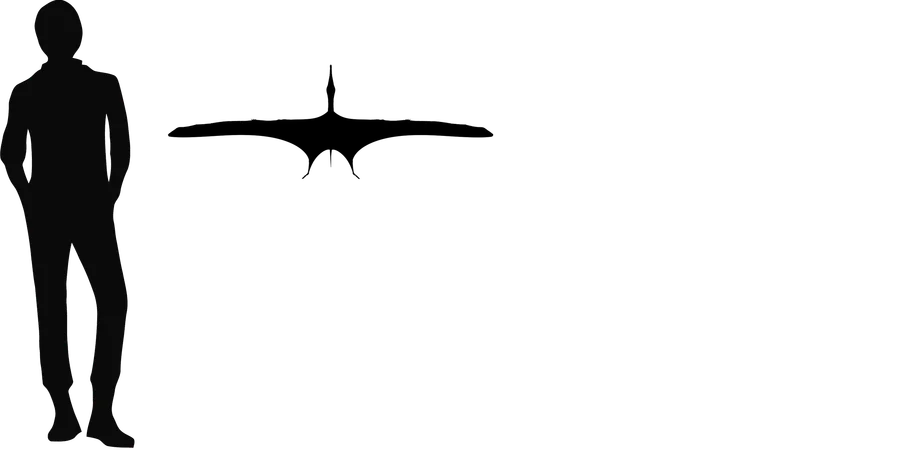 Haopterus wingspan comparison