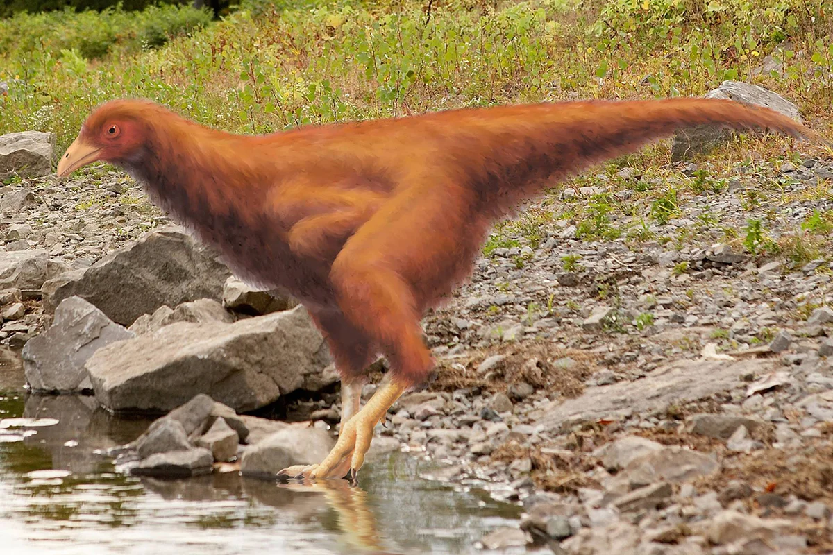 Portrait of a chickensaur 