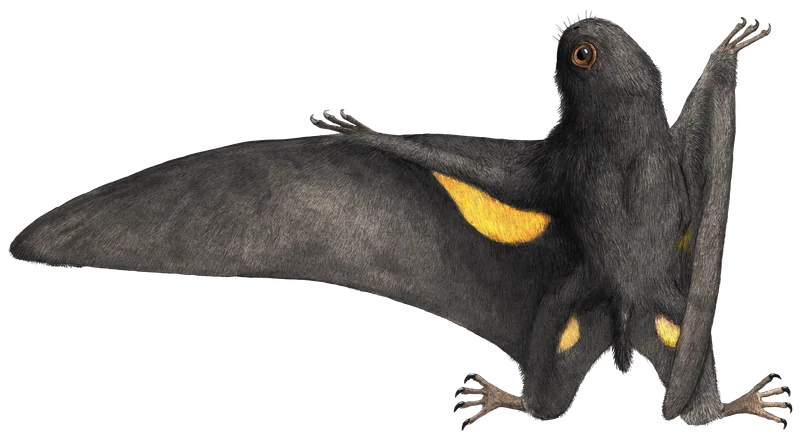 Batrachognathus
