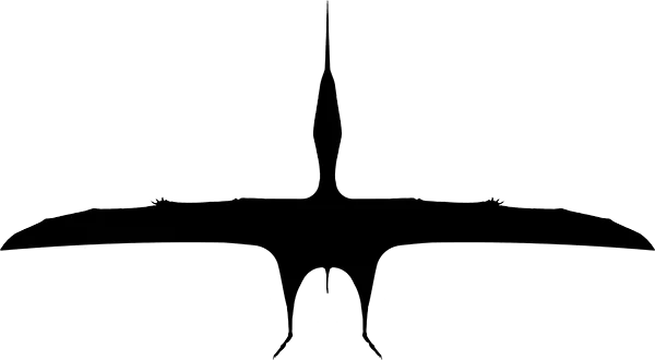 Thalassodromidae