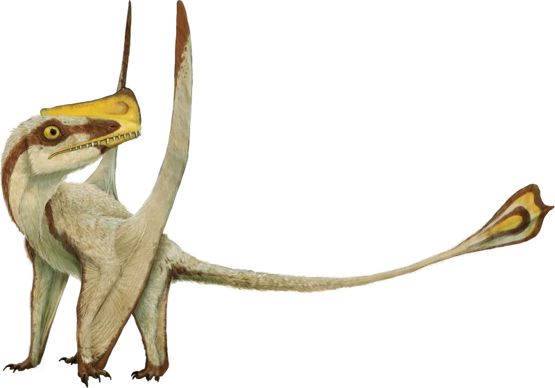 Austriadactylus
