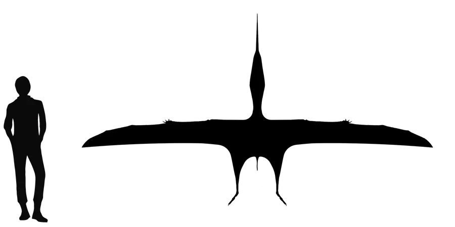 Bakonydraco wingspan comparison