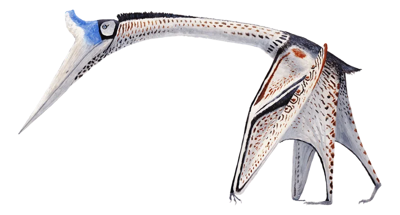 Cryodrakon