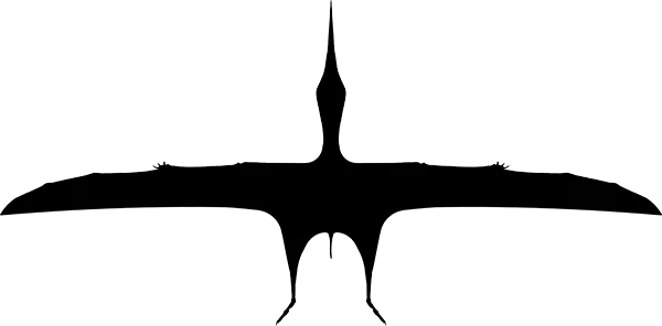 Chaoyangopteridae