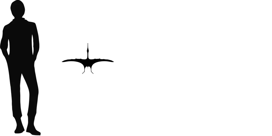 Gegepterus wingspan comparison